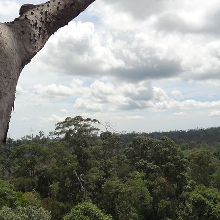 Samboja Lodge Balikpapan  Exteriör bild