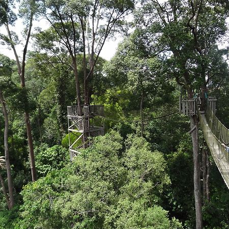 Samboja Lodge Balikpapan  Exteriör bild