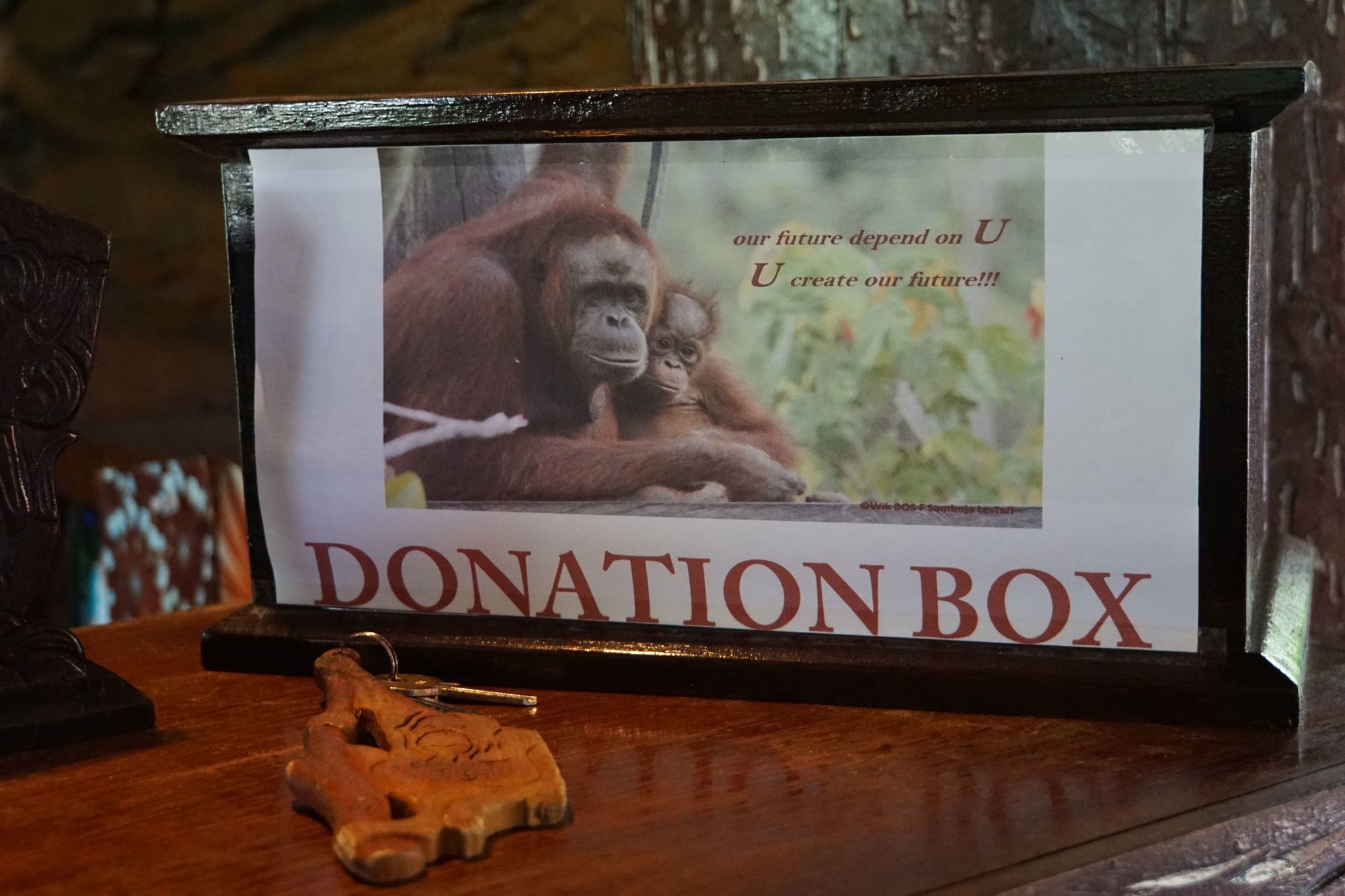 Samboja Lodge Balikpapan  Exteriör bild