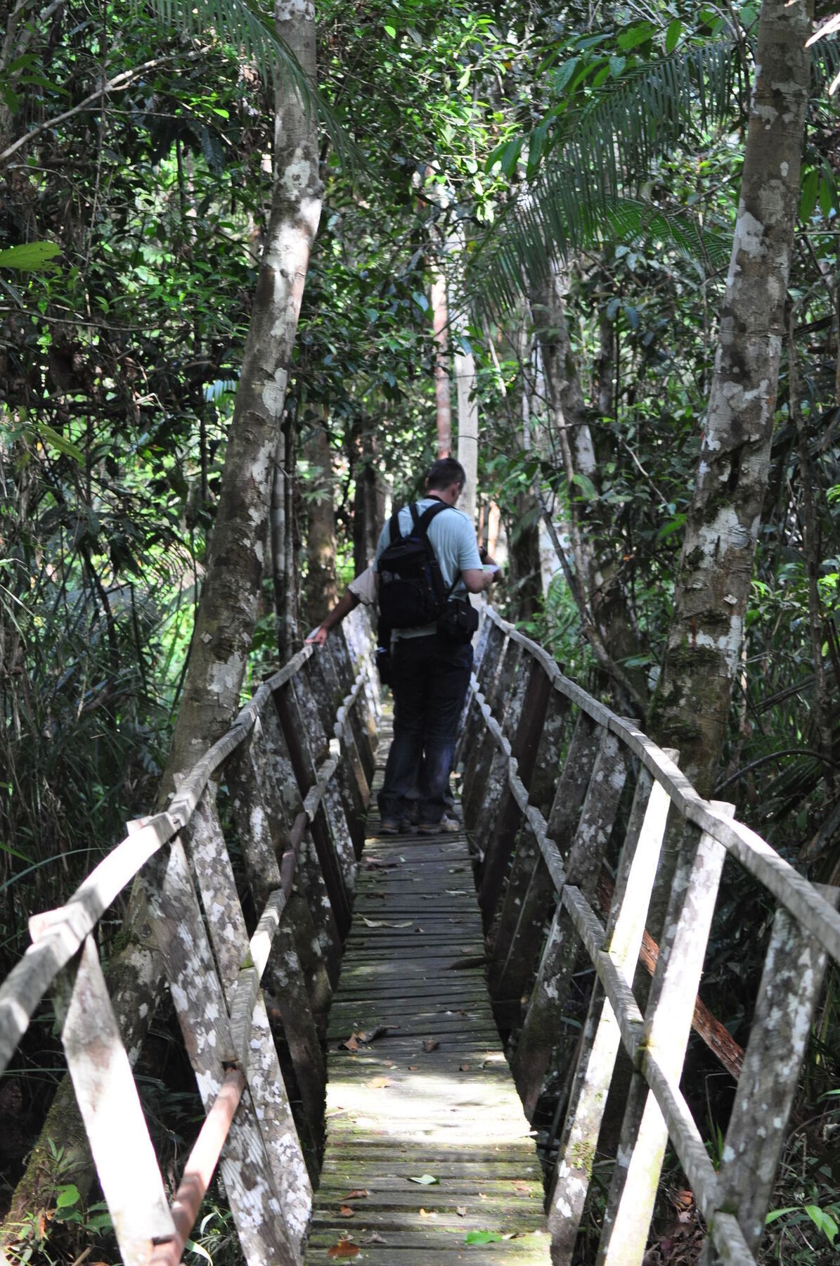 Samboja Lodge Balikpapan  Exteriör bild