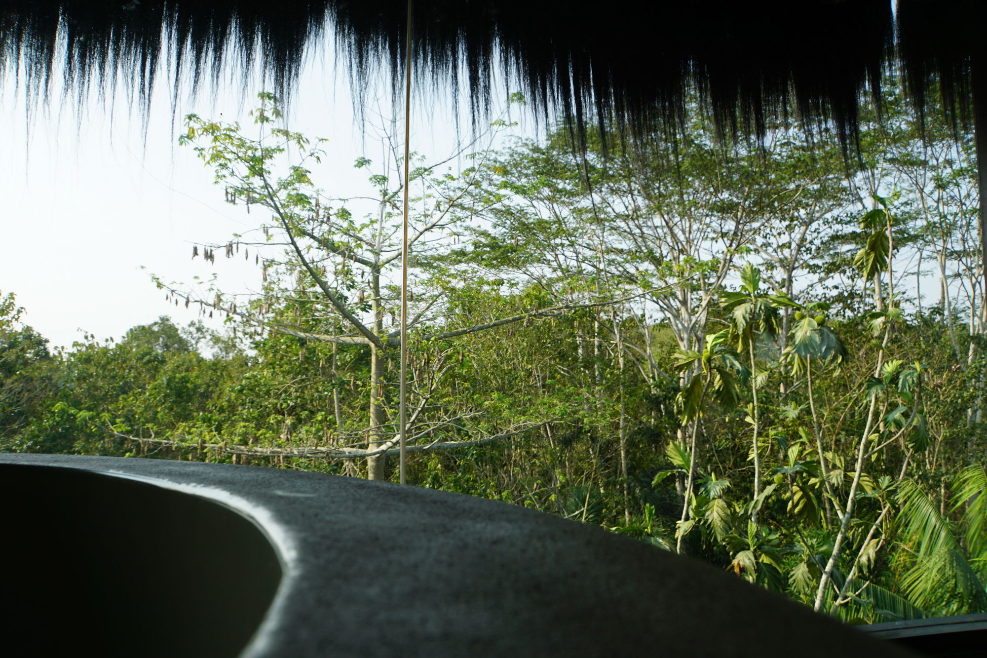 Samboja Lodge Balikpapan  Exteriör bild
