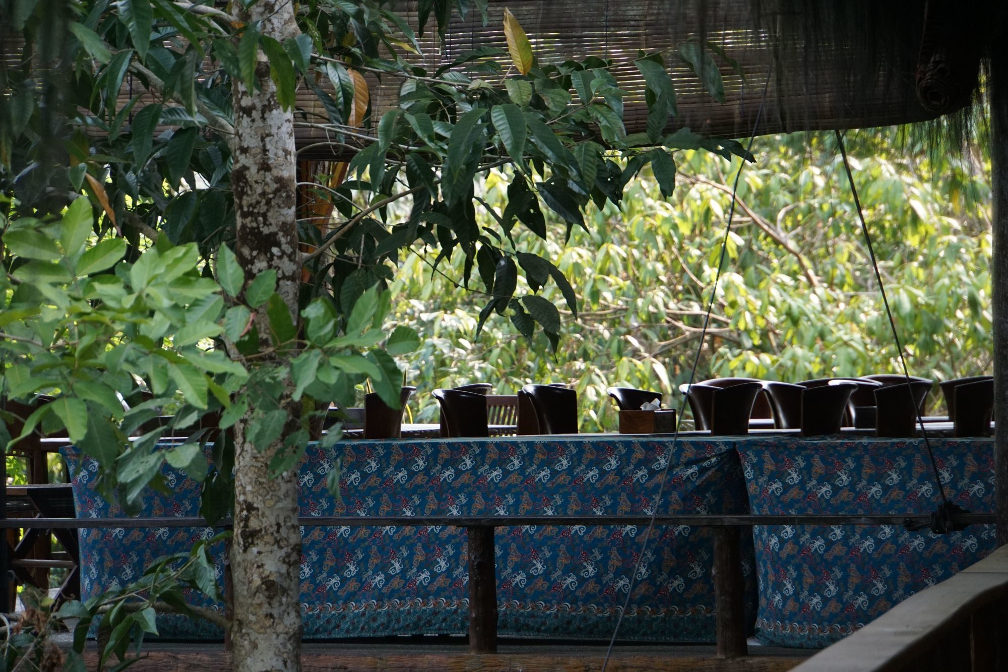 Samboja Lodge Balikpapan  Exteriör bild
