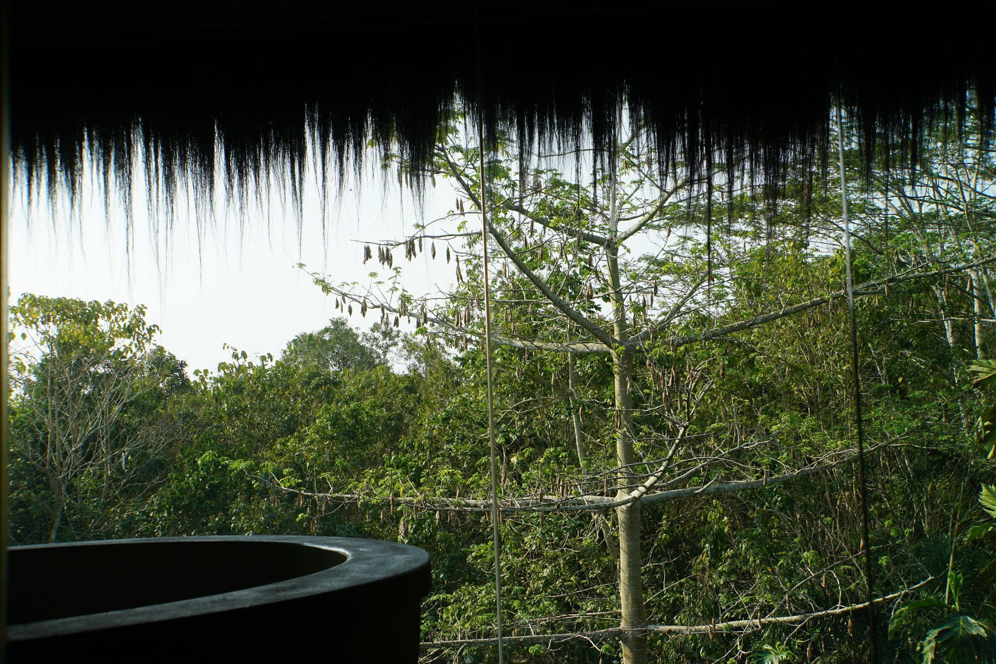 Samboja Lodge Balikpapan  Exteriör bild