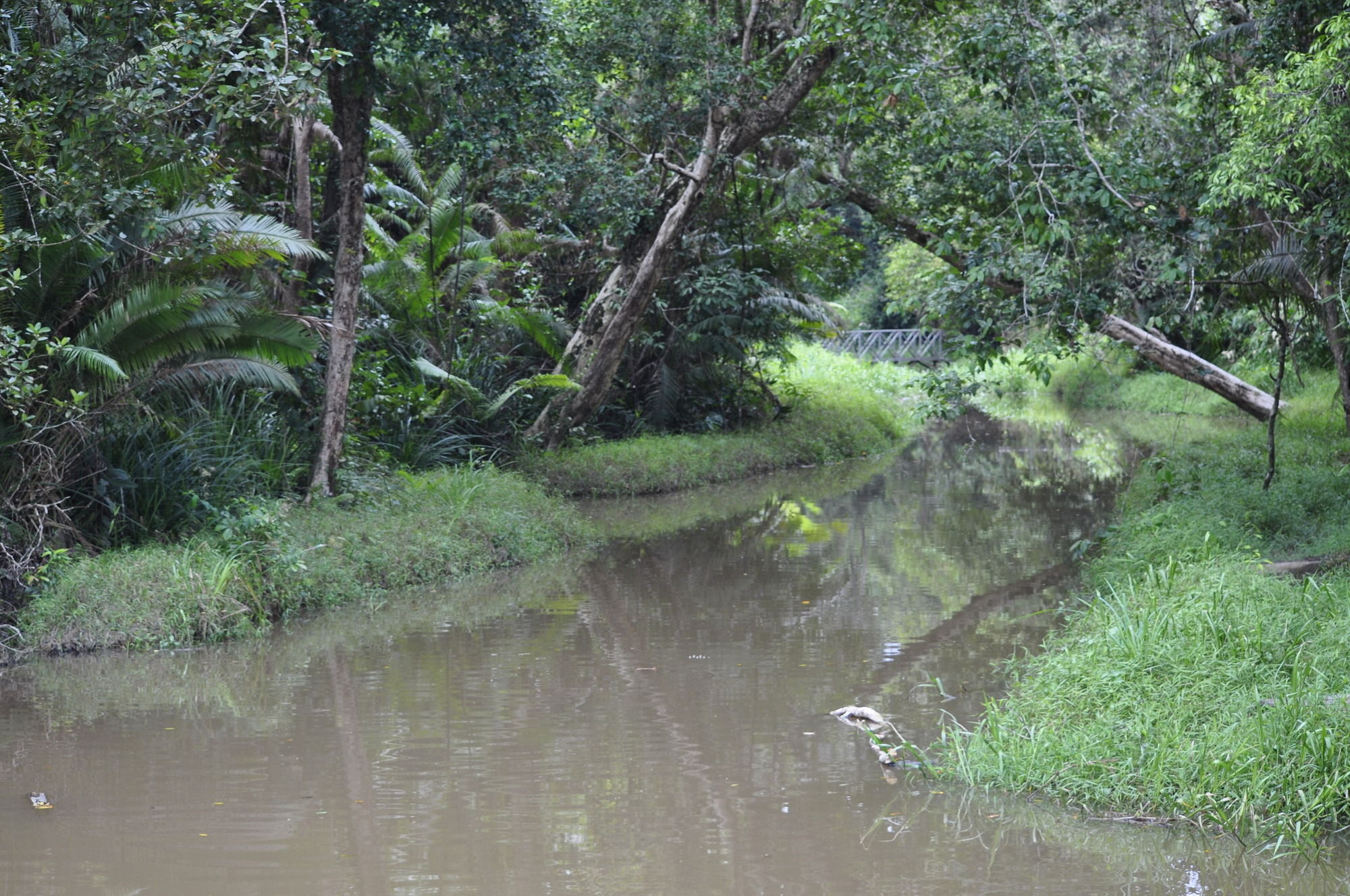 Samboja Lodge Balikpapan  Exteriör bild