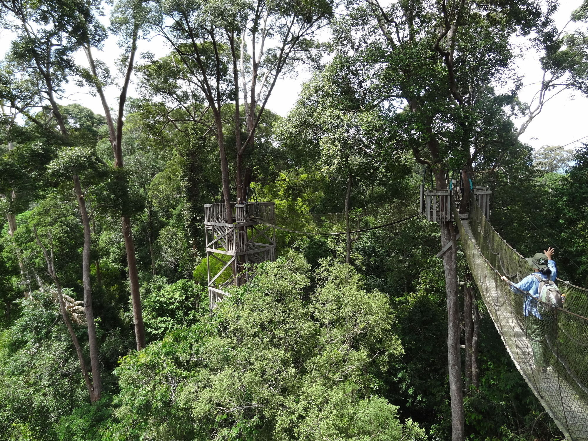 Samboja Lodge Balikpapan  Exteriör bild