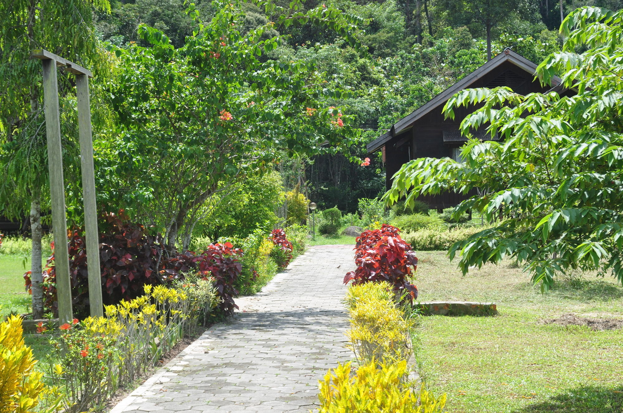 Samboja Lodge Balikpapan  Exteriör bild