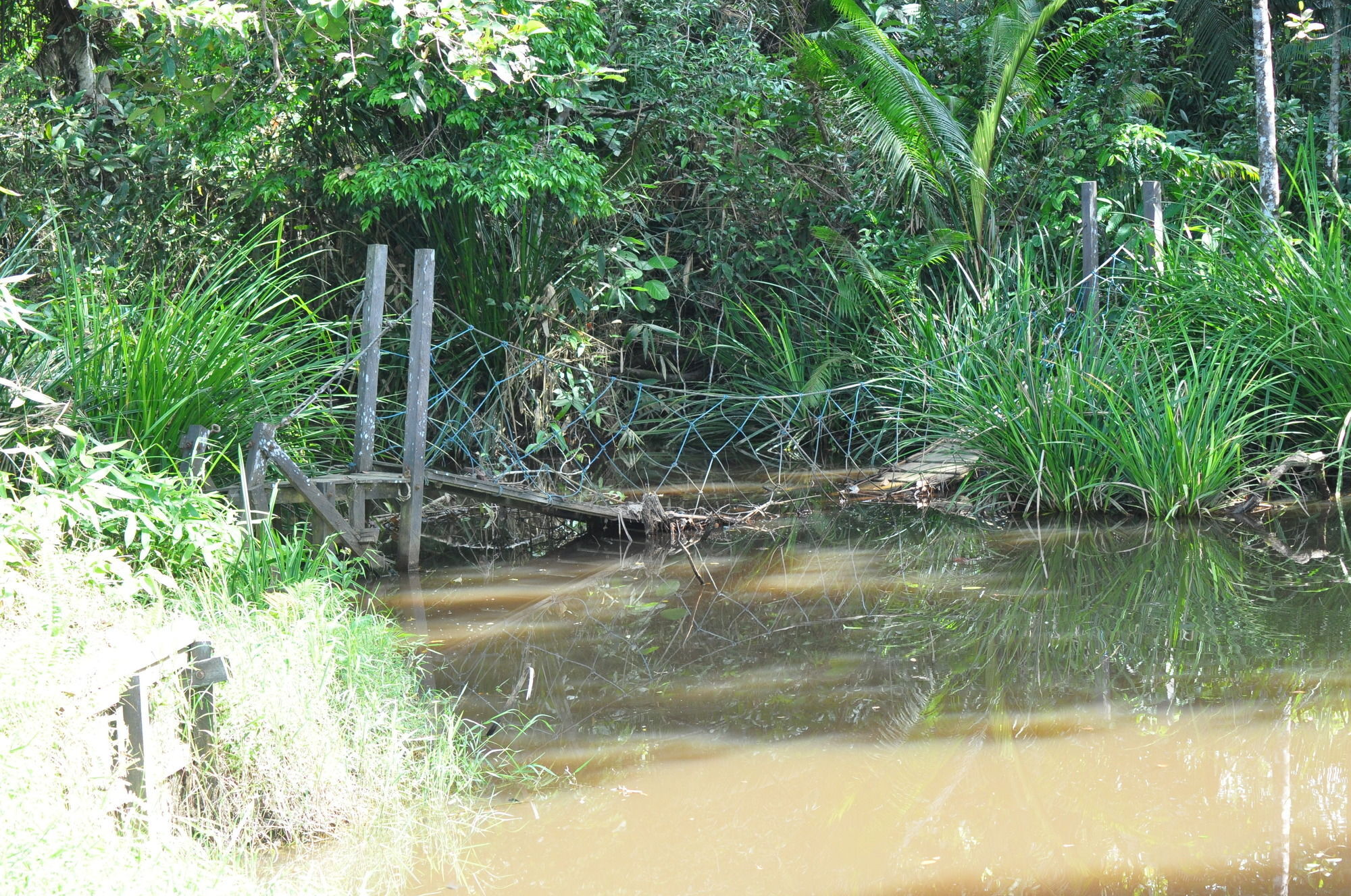 Samboja Lodge Balikpapan  Exteriör bild