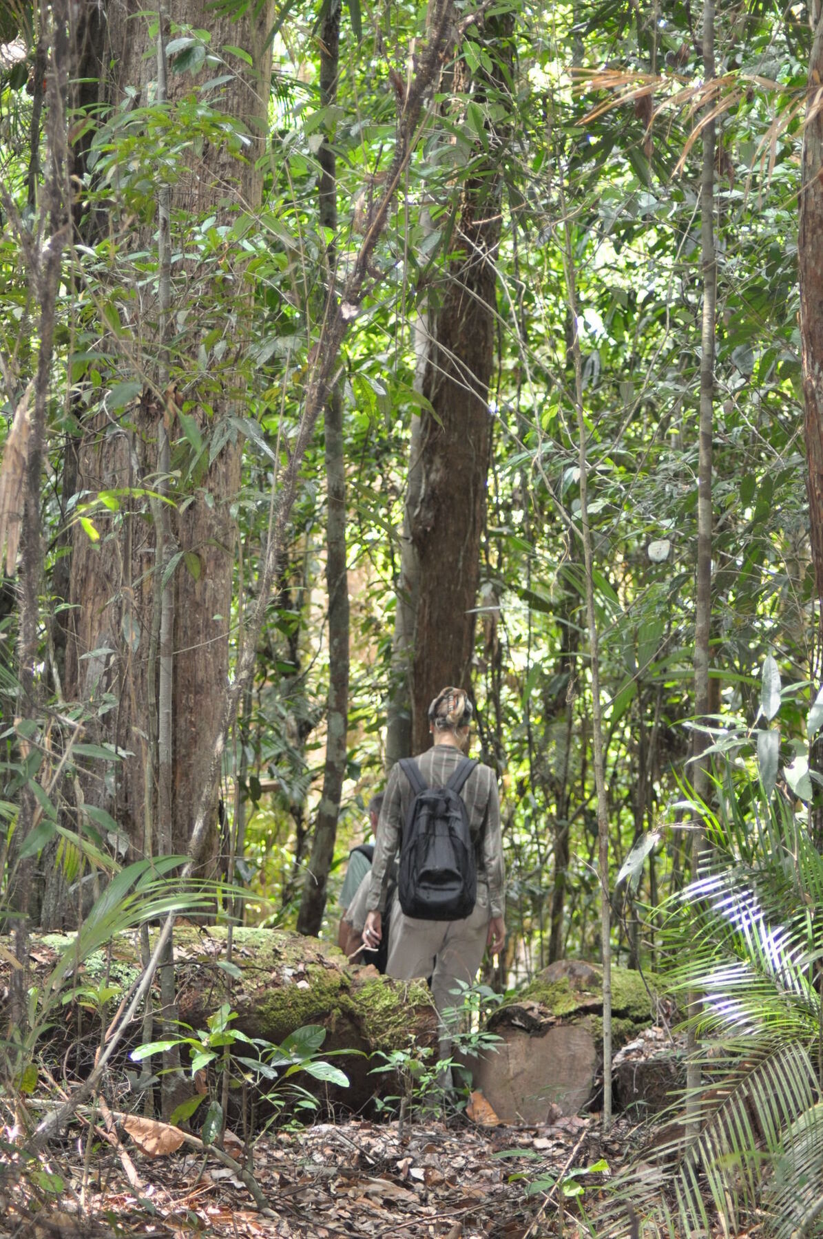 Samboja Lodge Balikpapan  Exteriör bild