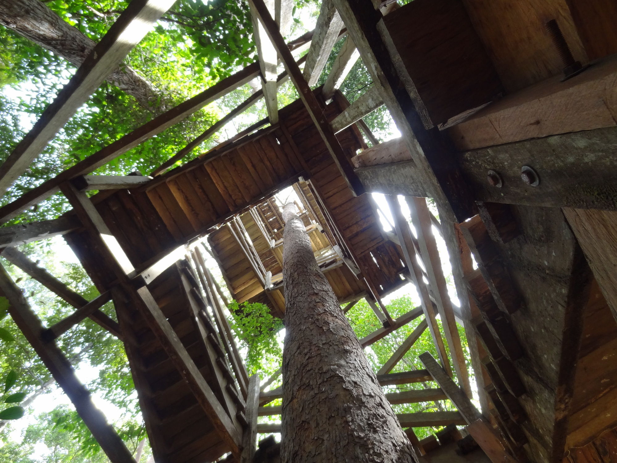 Samboja Lodge Balikpapan  Exteriör bild