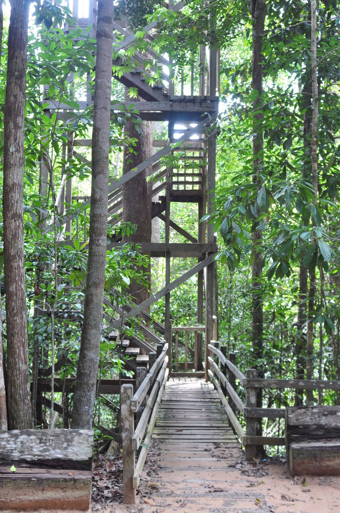 Samboja Lodge Balikpapan  Exteriör bild